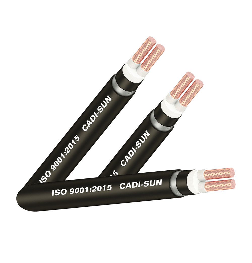 Cáp đồng ngầm 2 ruột - DSTA 2x