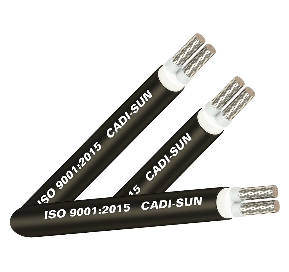 Cáp nhôm 2 ruột, cách điện XLPE, vỏ bọc PVC - AXV2x