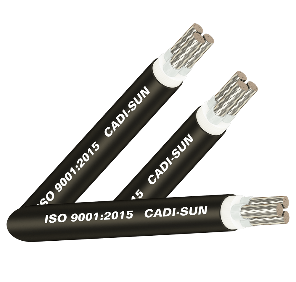 Cáp nhôm 3 ruột, cách điện XLPE, vỏ bọc PVC - AXV 3x