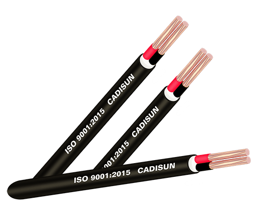 Cáp đồng 2 ruột, bọc cách điện PVC, vỏ bọc PVC - CVV 2x