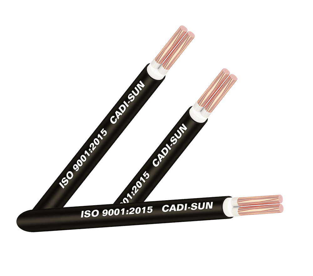 Cáp đồng 2 ruột bọc cách điện XLPE, vỏ bọc PVC - CXV 2x