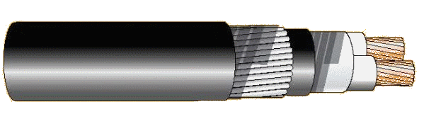 Cáp chống bén cháy theo IEC 60332-3-22, 0.6/1(1.2)kV, ruột đồng, 2 lõi, cách điện XLPE, giáp sợi thép mạ kẽm (hoặc giáp 2 lớp băng thép)