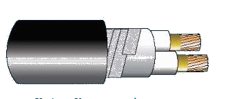 Cáp chống cháy theo IEC 60331-21, 0.6/1(1.2)kV, ruột đồng, 2 lõi, cách điện XLPE, không giáp