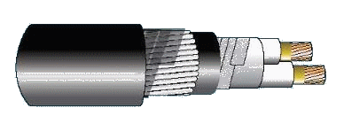 Cáp chống cháy theo IEC 60331-21, 0.6/1(1.2)kV, ruột đồng, 2 lõi, cách điện XLPE, giáp sợi thép mạ kẽm (hoặc giáp hai lớp băng thép)