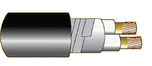 Cáp chống cháy theo BS 6387, 0.6/1(1.2)kV, ruột đồng, 2 lõi, cách điện XLPE, không giáp